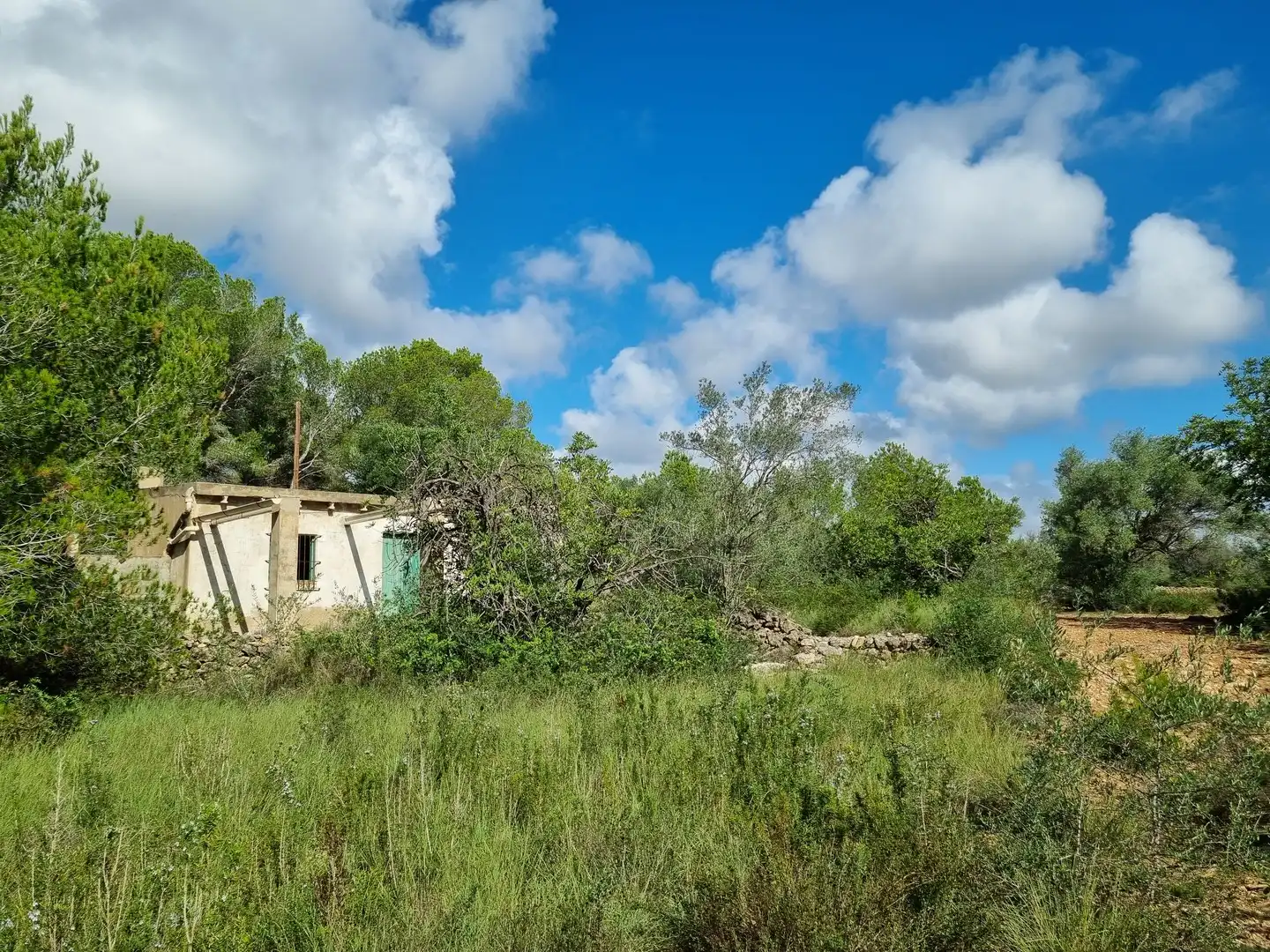 Terrain rustique à vendre à Carrer Andreu Llambrich 48, imagen 9