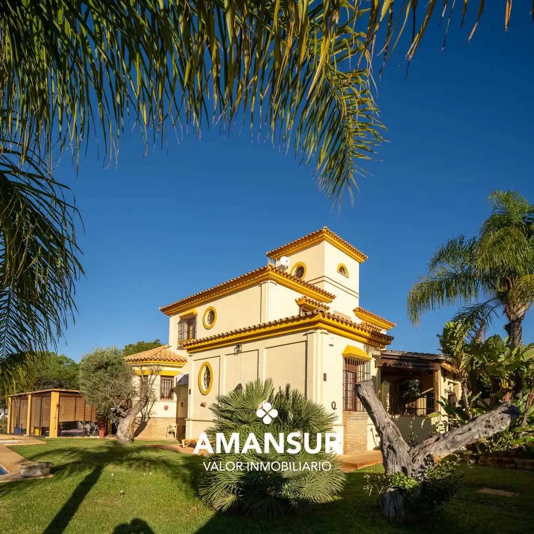 Chalet con piscina en venta en Avenida del Almendro, imagen 54