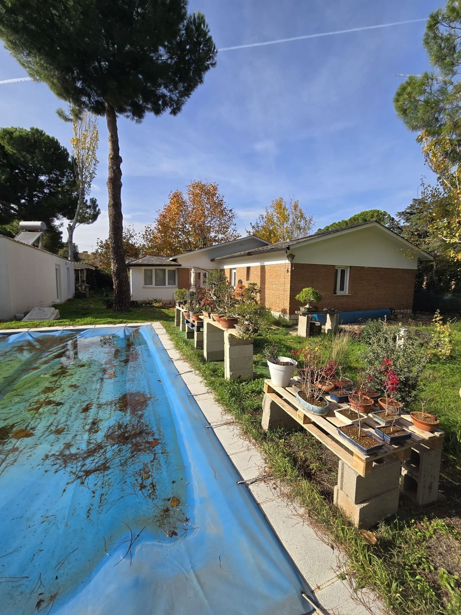 Garden of House or chalet for sale in Majadahonda  with Storage room