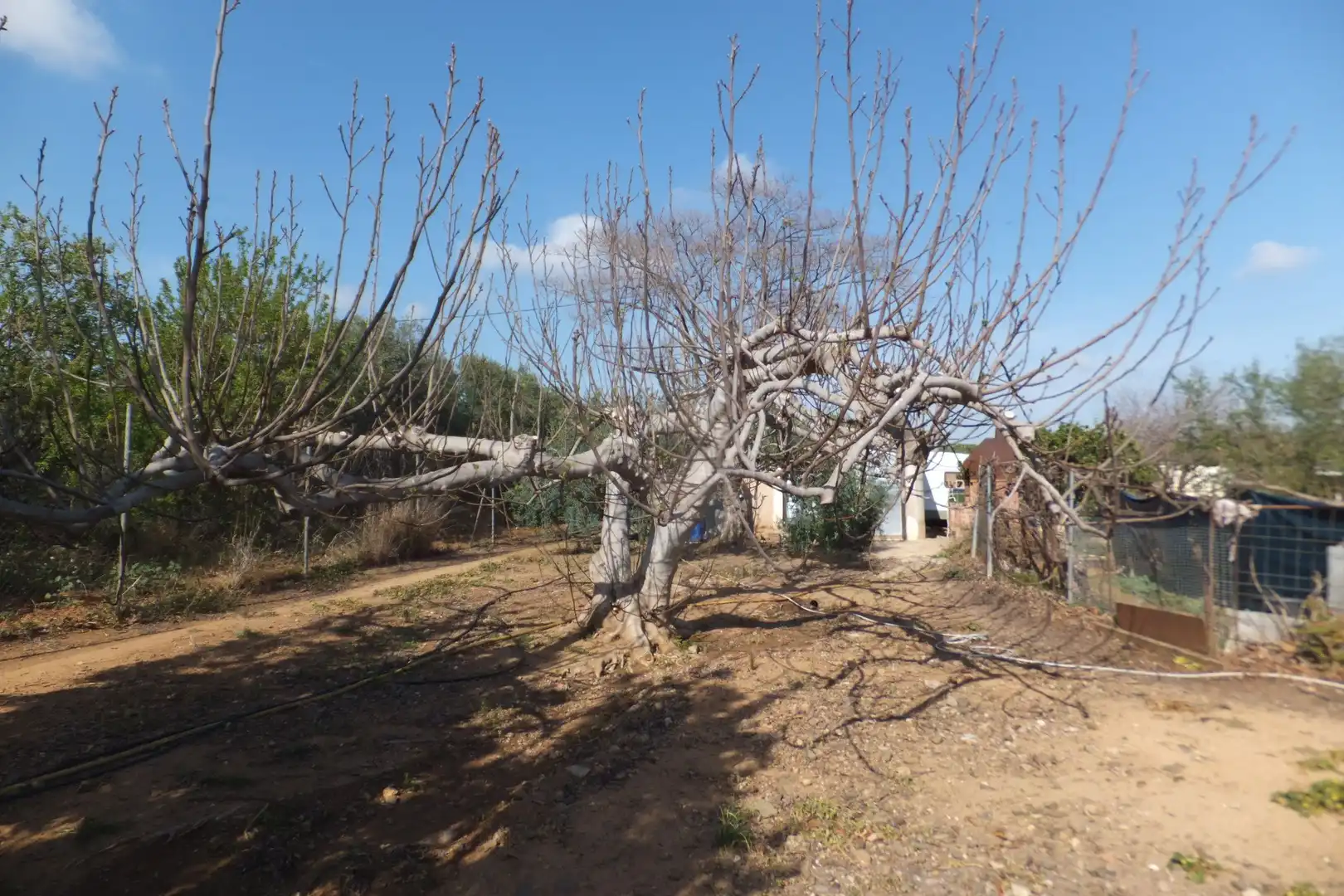 Terreno residencial en venta en Riudoms, imagen 48