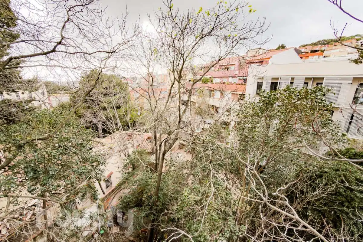 Planta baja en venta en CL PAU FERRAN, El Coll