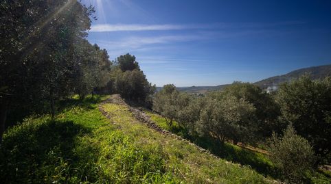 Photo 2 of Country homes for sale in Alaró, Illes Balears