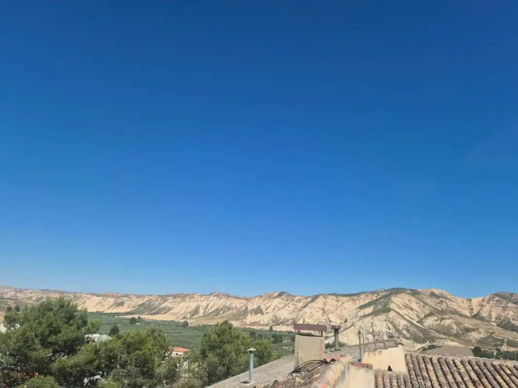 Maison avec terrasse à vendre à Carretera de Pedro Martínez, imagen 45