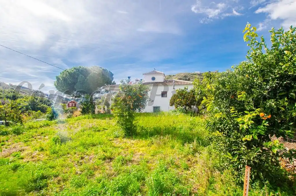 Terreno rustico in vendita a Árchez, imagen 3