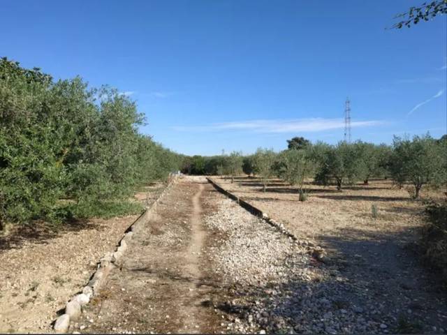 Terreno en Venta en Camí Taberner, 5 en L'Arboç