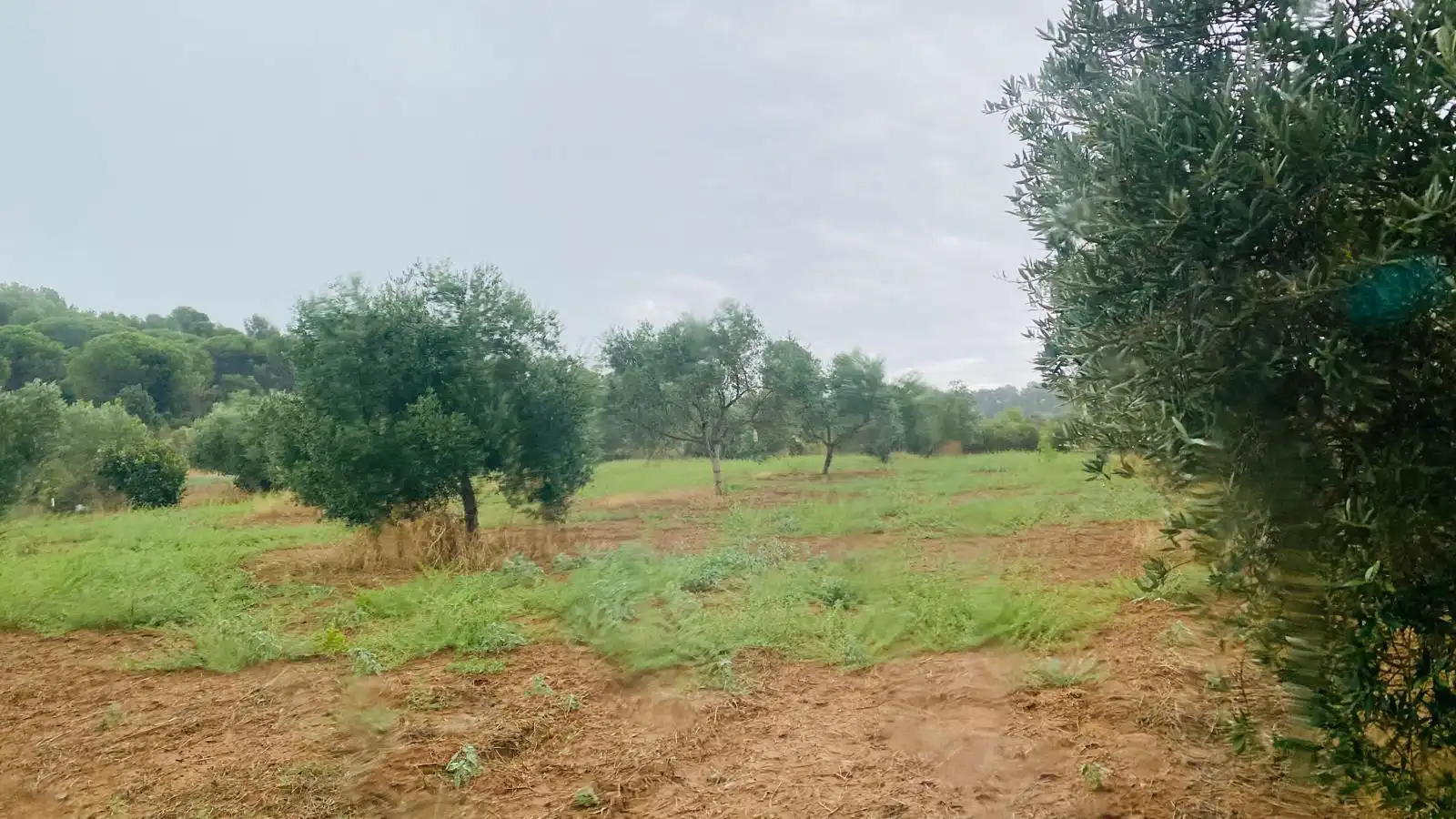 Terreny rústic en venda a La Bisbal d'Empordà, imagen 9