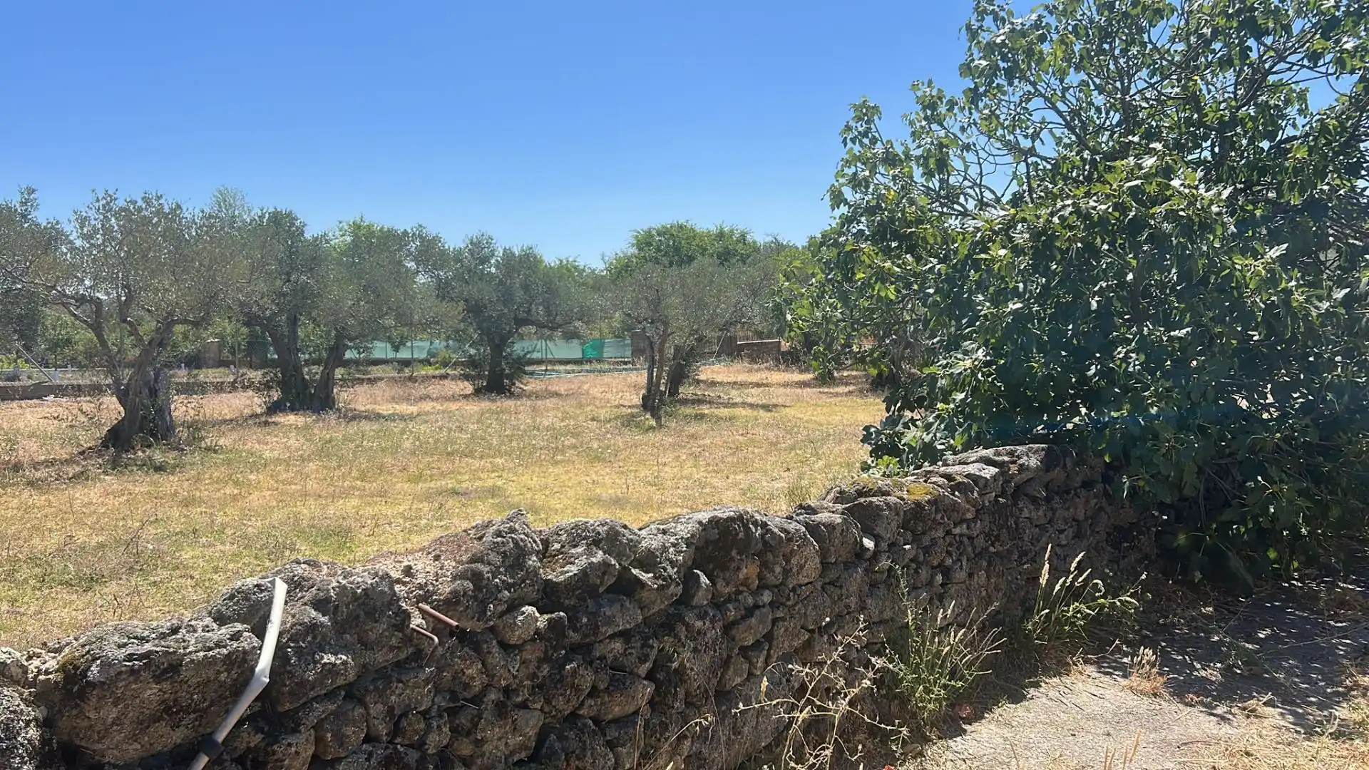 Terreni e lotti in vendita a Cilleros, imagen 9