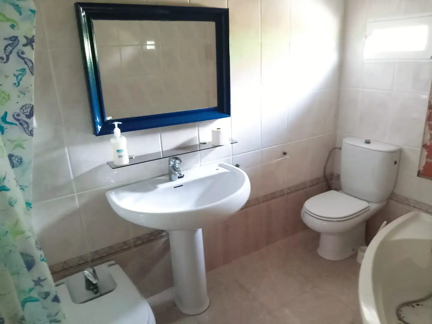 Baño de Casa o chalet en venta en Murcia con Aire acondicionado, Calefacción y Jardín privado