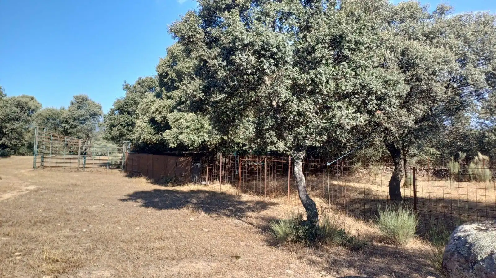 Land for sale in Santibáñez el Bajo