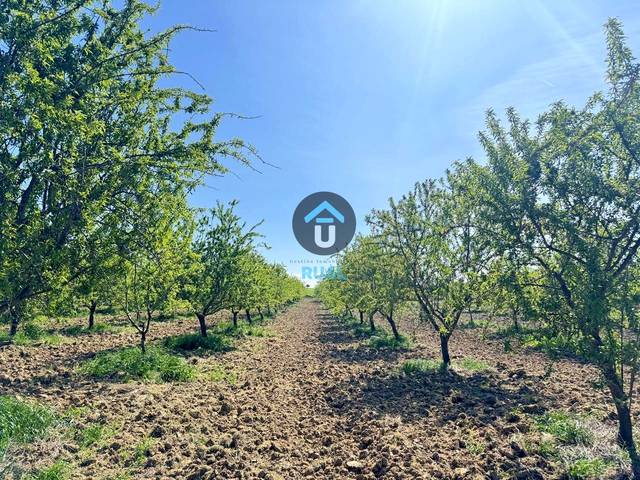 Terreno en Venta en Herreruela de Oropesa