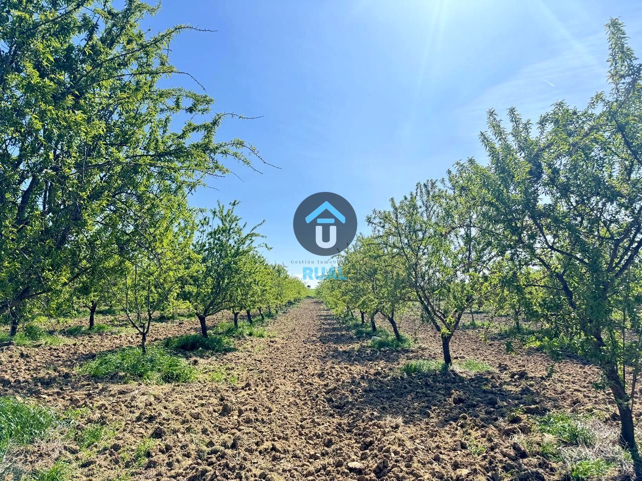 Grundstücke zum Verkauf in Herreruela de Oropesa