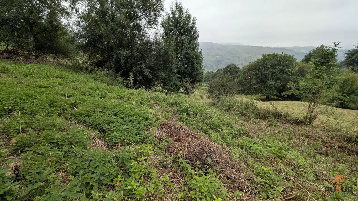 Finca rústica en venta en Saro