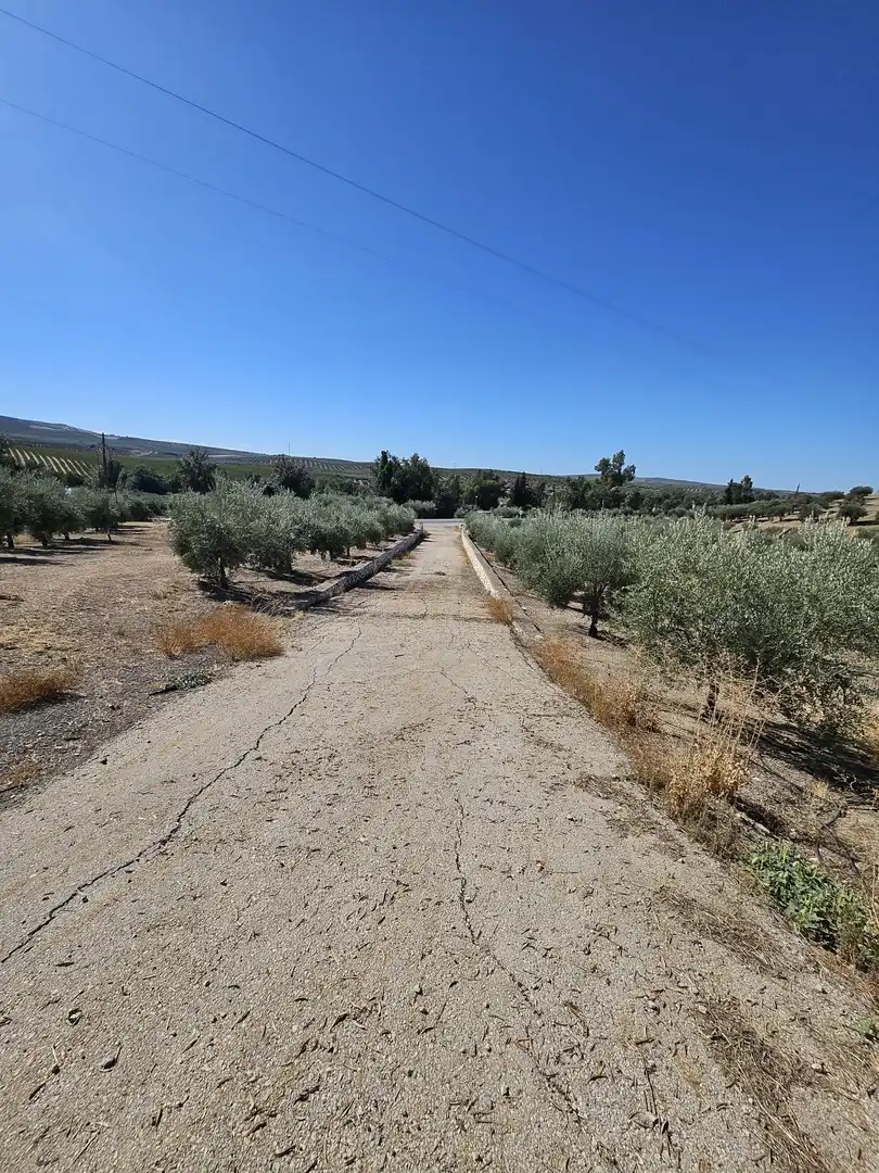 Terrain rustique à vendre à Carretera A-342 MONTURQUE-CABRA, imagen 11