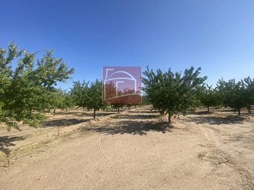 Terreno rustico in vendita a Villanueva de la Serena