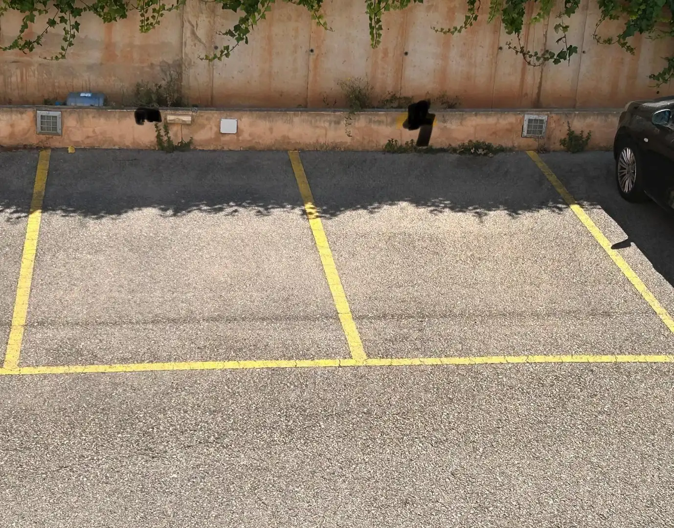 Aparcament de Pis de lloguer en  Palma de Mallorca amb Jardí privat, Moblat i Balcó