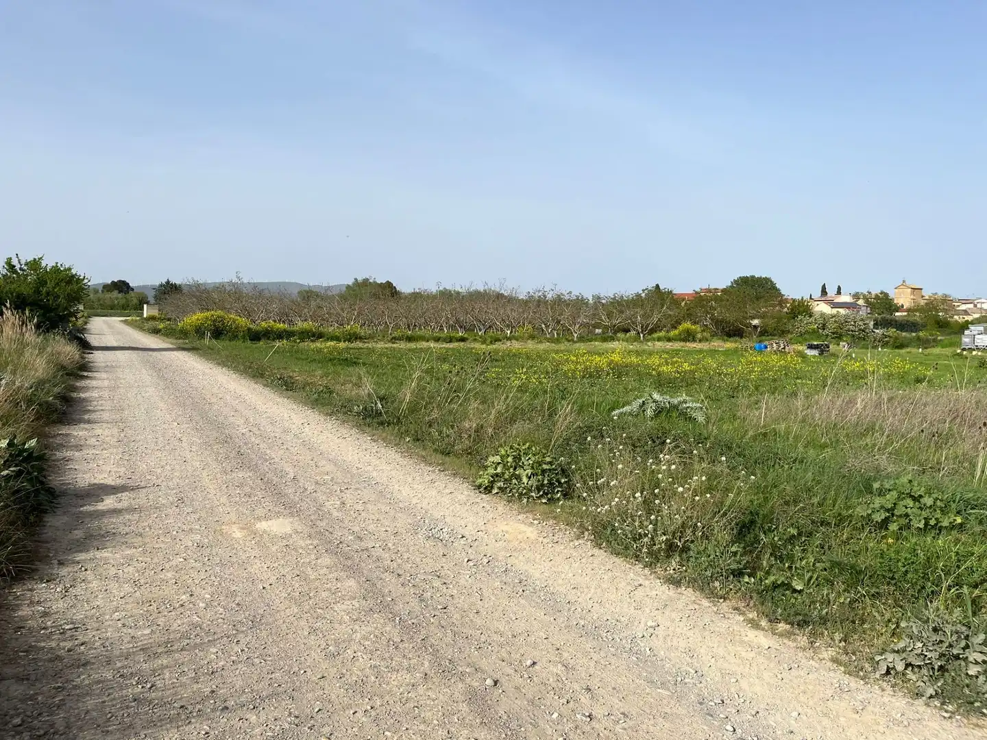 Residential for sale in Beire