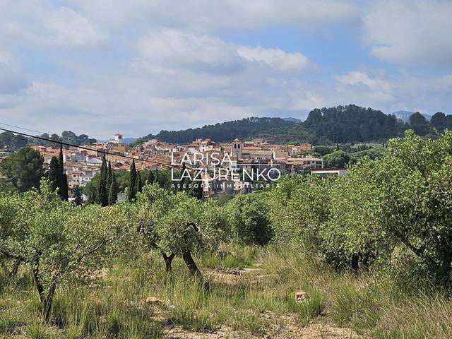 Finca rústica en Venta en N/A en Riudecanyes