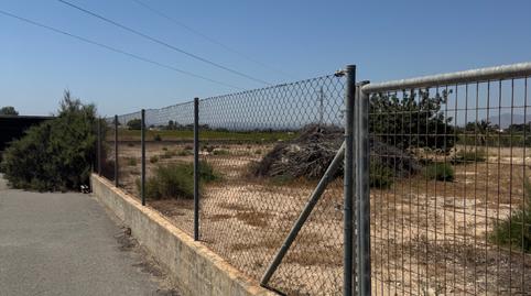 Foto 4 de Finca rústica en venda a N/a, La Algoda - Matola - Llano de San José, Elche / Elx
