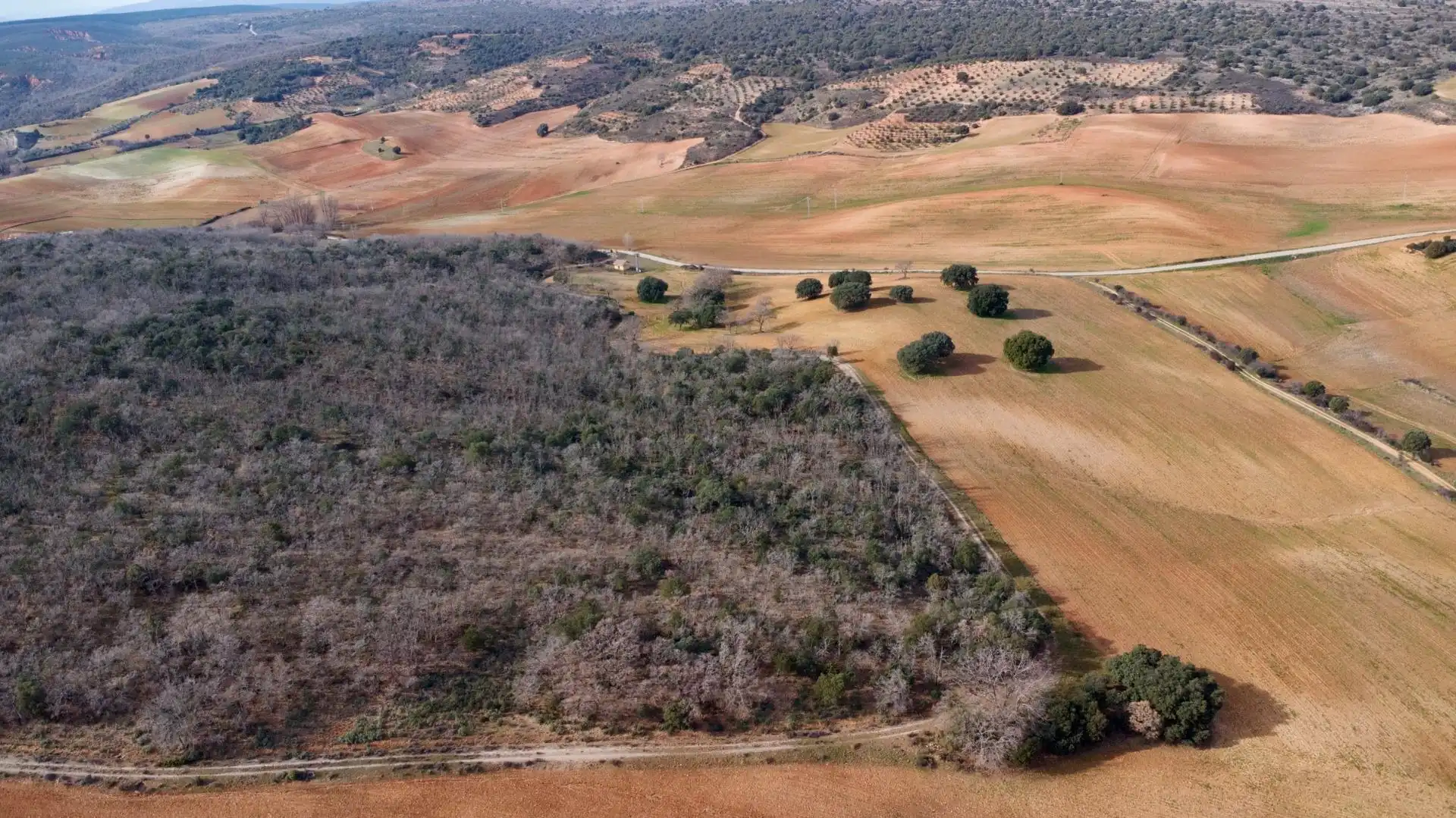 Land for sale in Arbancón