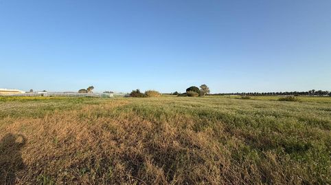 Foto 4 de Residencial en venta en Del Alcornocal, Chipiona Norte, Chipiona