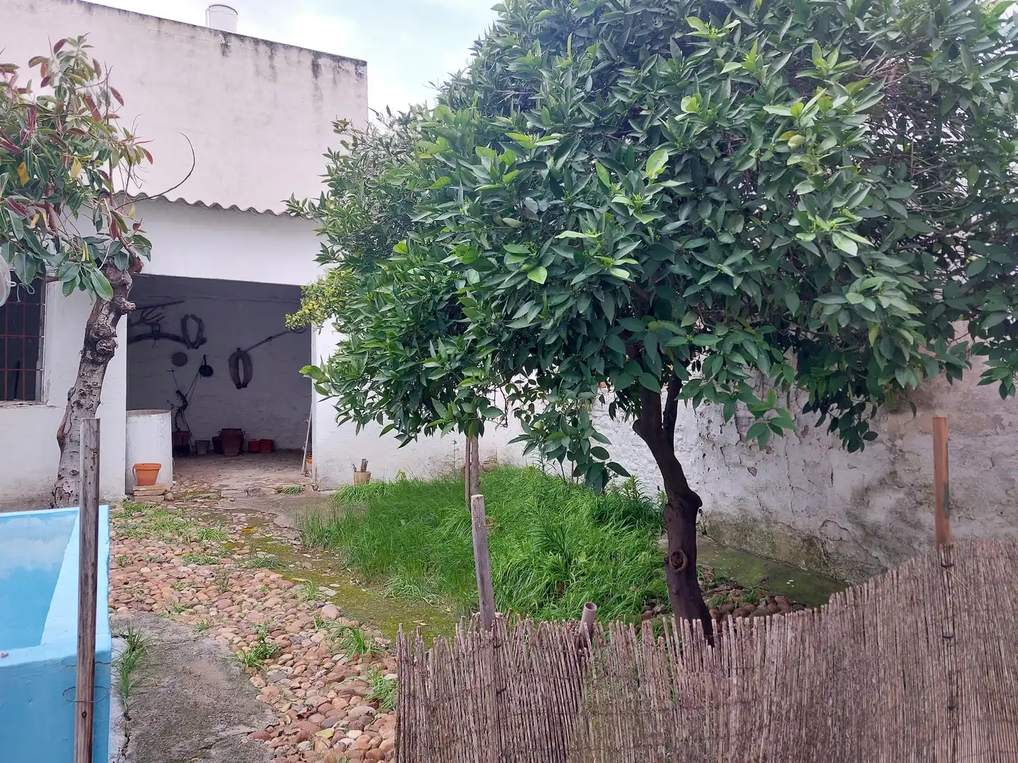 Adossat en venda a Bujalance, imagen 3