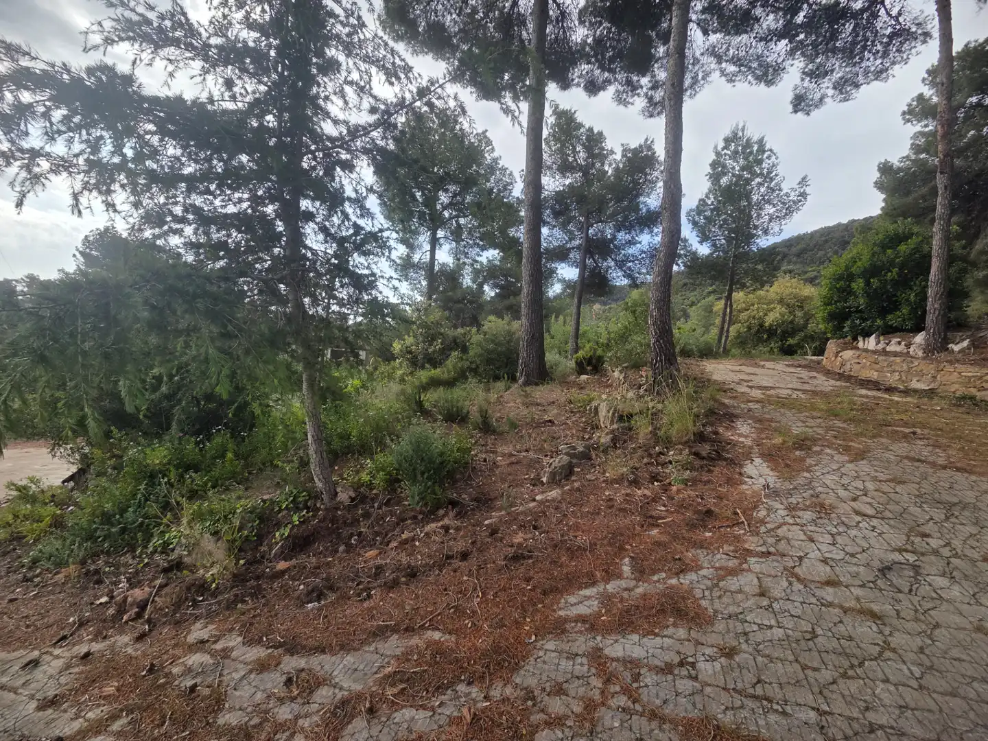 Terreno residenziale in vendita a Bruguers, imagen 4