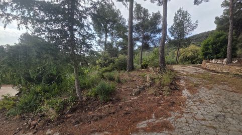Terreno en Begues, imatge 4