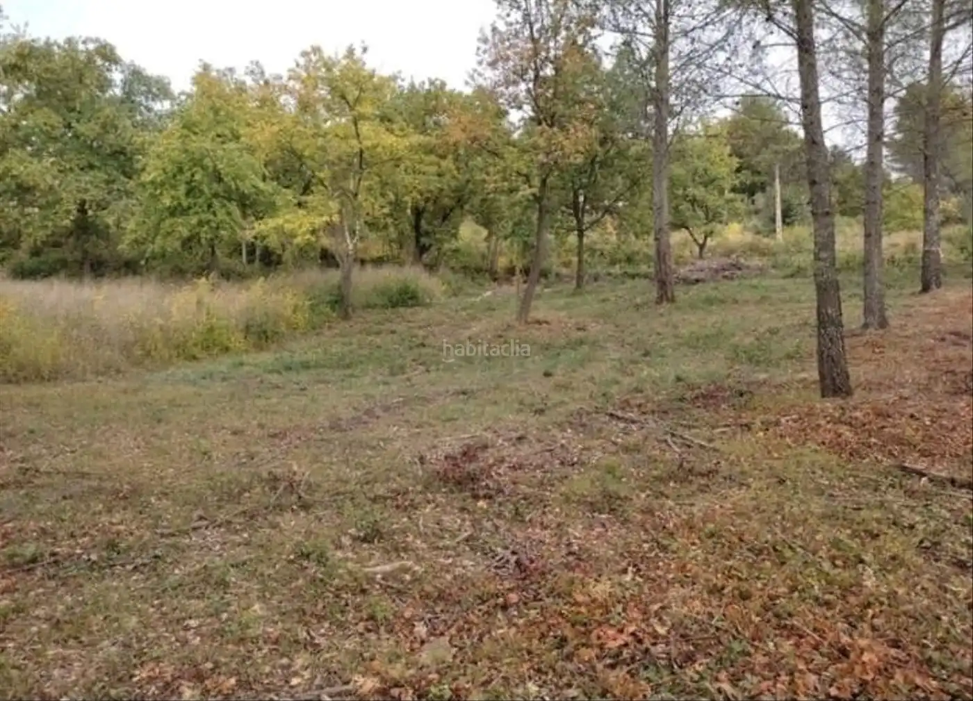 Residential land for sale in Avinguda Catalunya 21