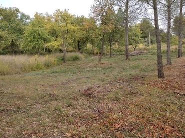 Residential land for sale in Avinguda Catalunya 21