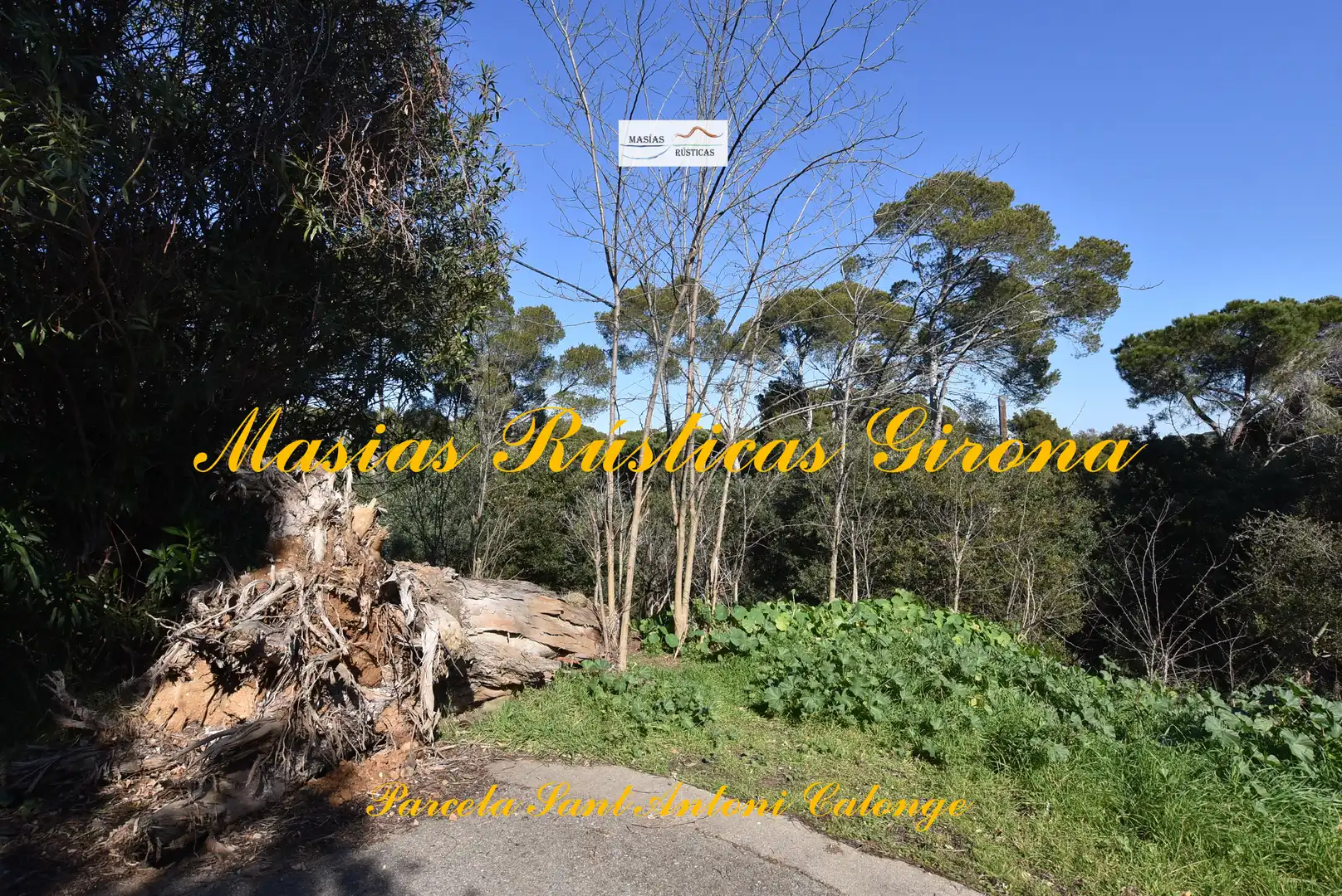 Residential land for sale in Carrer Cadí 6, imagen 6