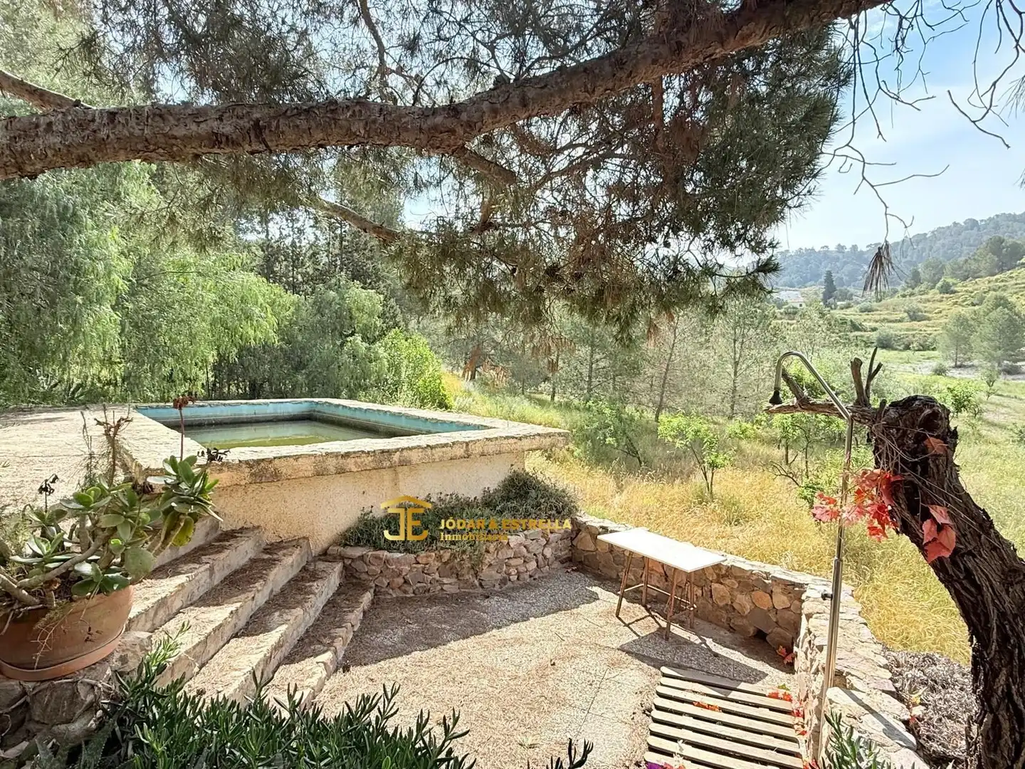 Jardín de Casa o chalet en venta en Lorca con Terraza, Trastero y Amueblado