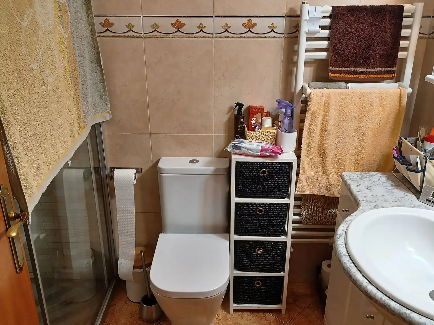 Bany de Casa o xalet en venda en Sant Climent Sescebes amb Aire condicionat, Calefacció i Jardí privat