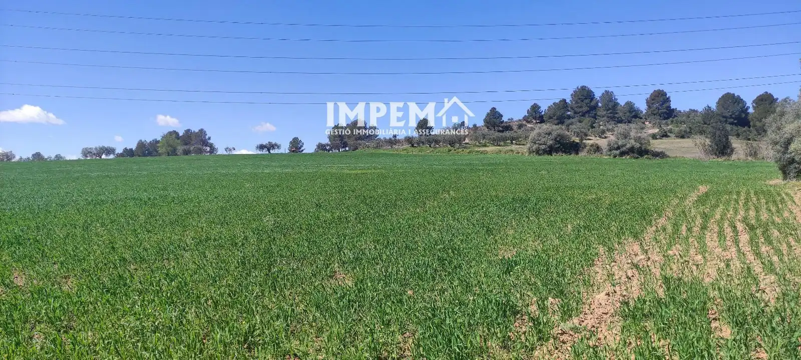 Terreno en venta en Sant Llorenç d'Hortons