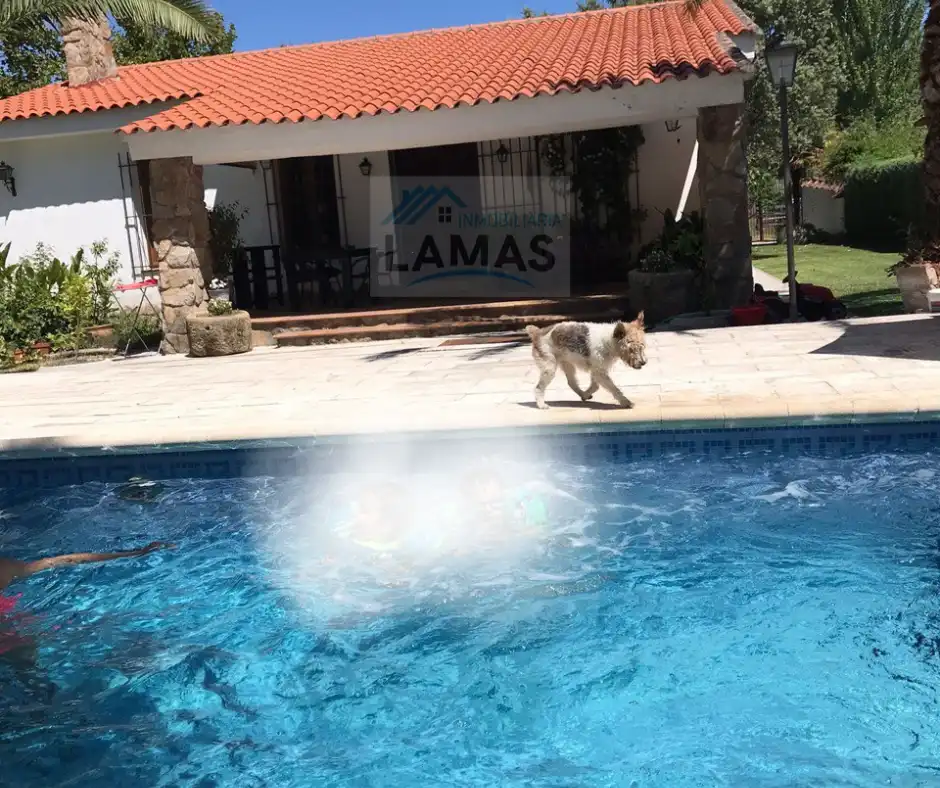 Piscina de Finca rústica en venda en Belvís de Monroy amb Aire condicionat, Jardí privat i Piscina