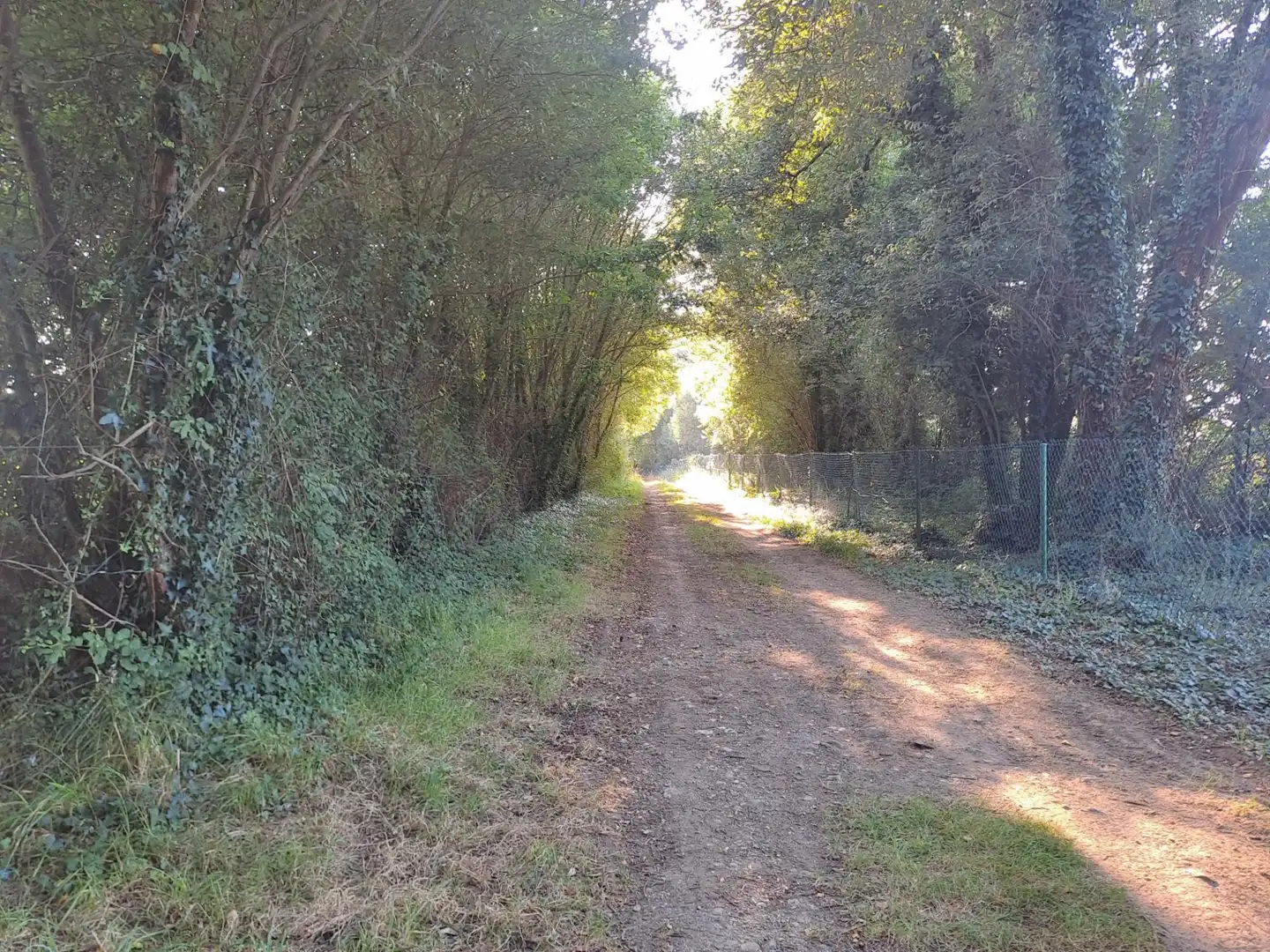 Terreni e lotti in vendita a polig 1 Sau Bd8 Pc M1b1, imagen 6