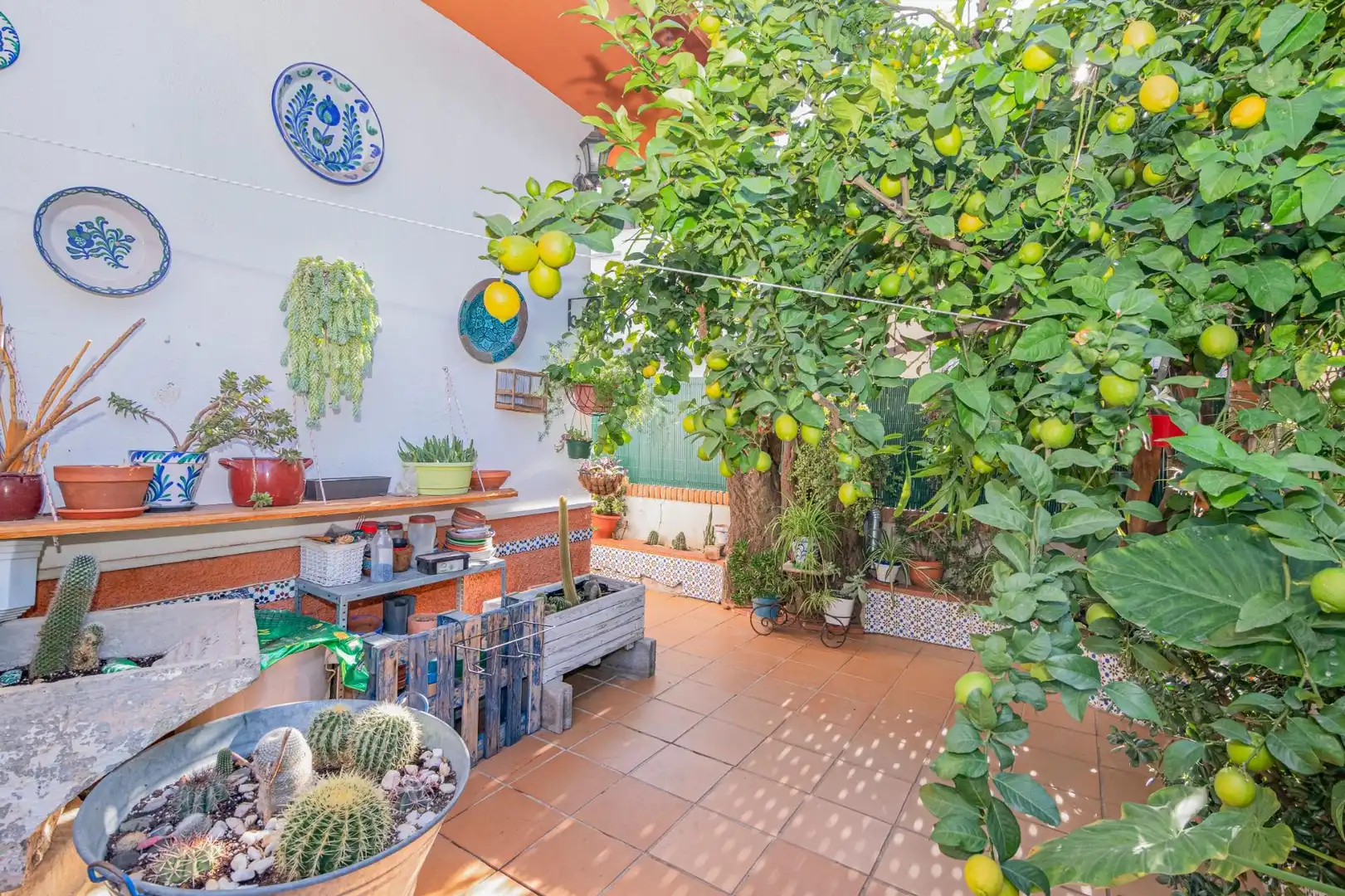 Terrace of Houses for sale in Cúllar Vega, Granada