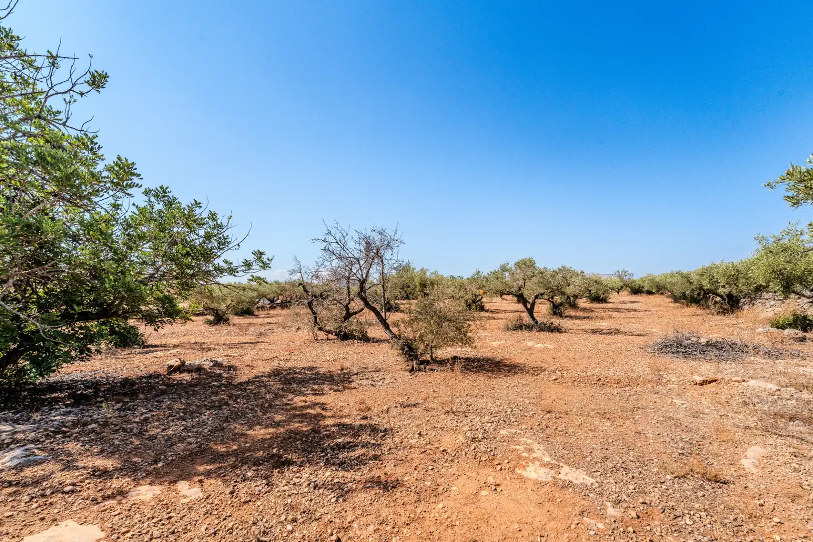 Houses for sale in L'Ampolla  with Private garden, Terrace and Storage room