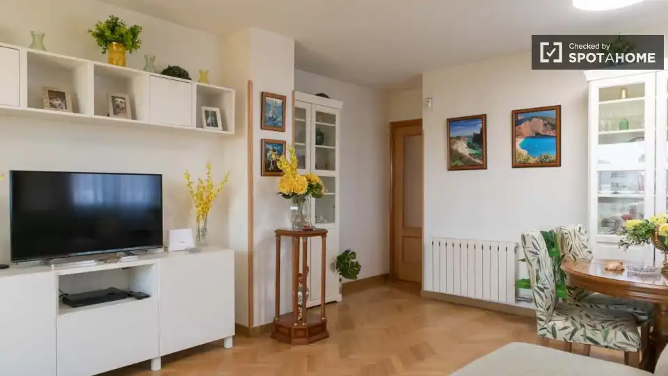 Living room of Flat for rent in Madrid  with Air Conditioner, Heating and Furnished