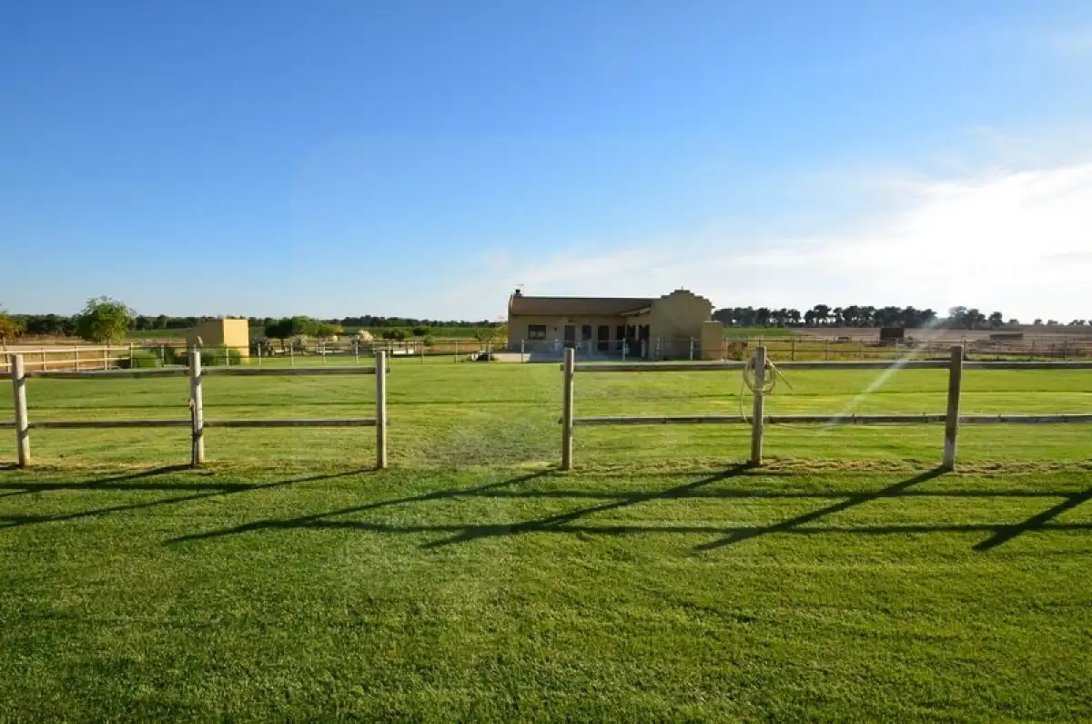 Finca rústica en venta en EXTRARRADIO, Palacios de Goda