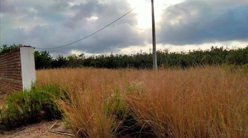 Foto 2 von Grundstücke zum Verkauf in Vía Sense Nom, 1, Vilallonga del Camp, Tarragona