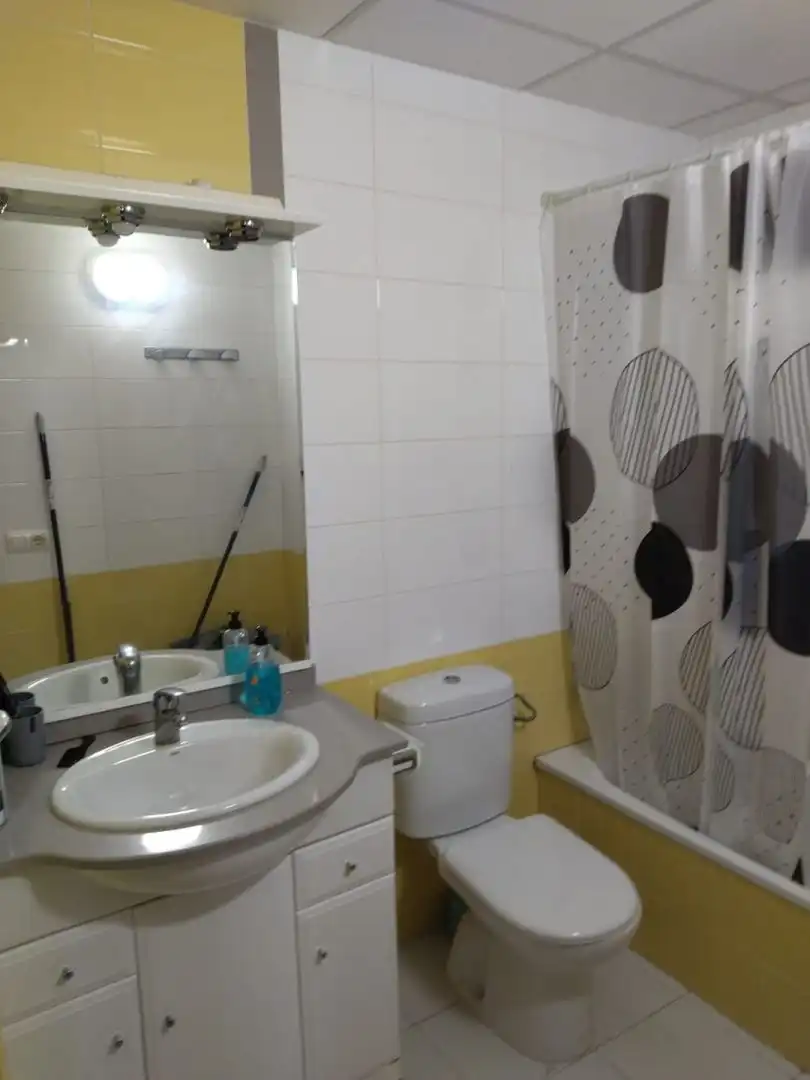 Bathroom of Flat for rent in El Maset 
