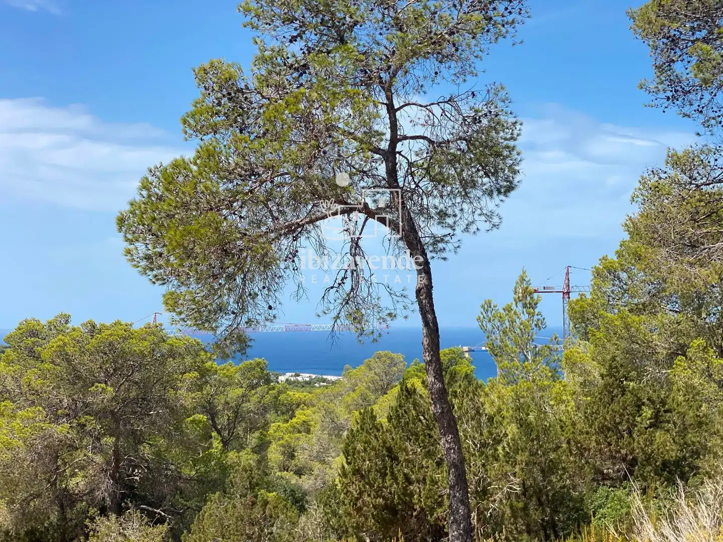 Terreny rústic en venda a Cala Tarida, imagen 18
