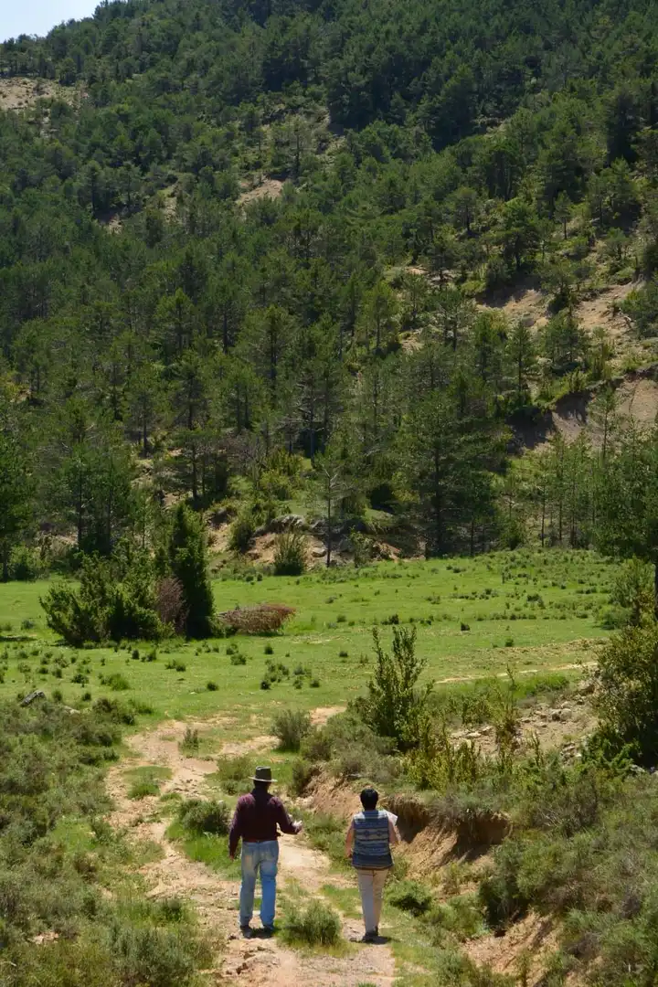 Casa o chalet en venta en San Miguel del Cinca