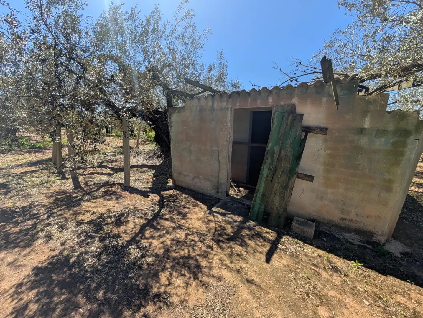 Grundstücke zum Verkauf in Ulldecona