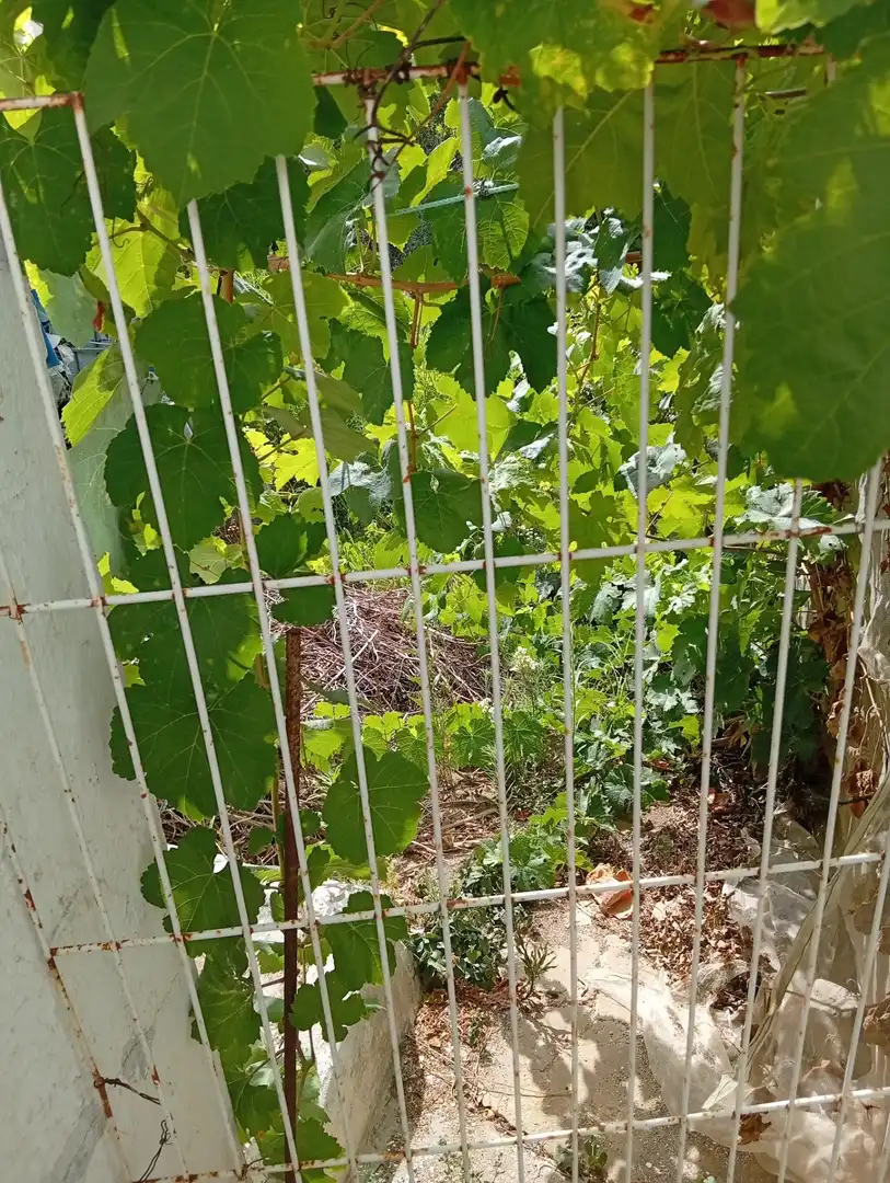 Villa avec jardin à vendre à Ayamonte ciudad, imagen 59