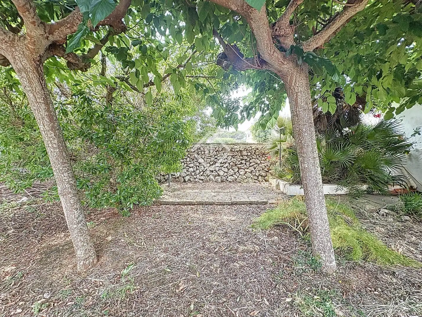 Casa o xalet en venda en Ciutadella de Menorca amb Jardí privat, Terrassa i Traster