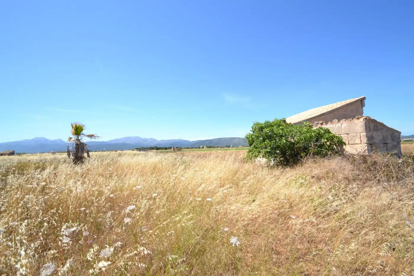 Casa rústica en venta en Muro, imagen 13