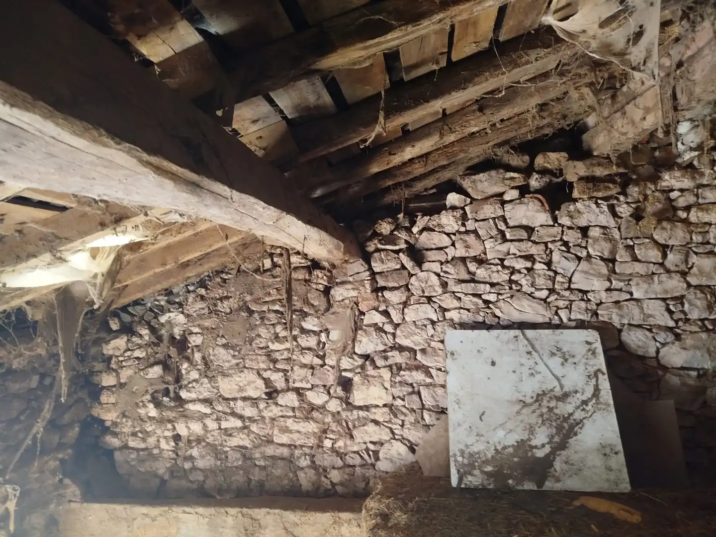 Casa o chalet en venta en Rionansa