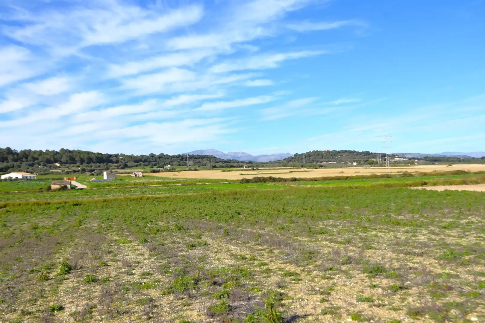 Residential land for sale in Muro, imagen 9