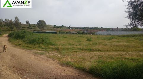 Foto 2 de Finca rústica en venta en Oeste, Mérida